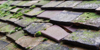 Mynyddislwyn roof repair costs